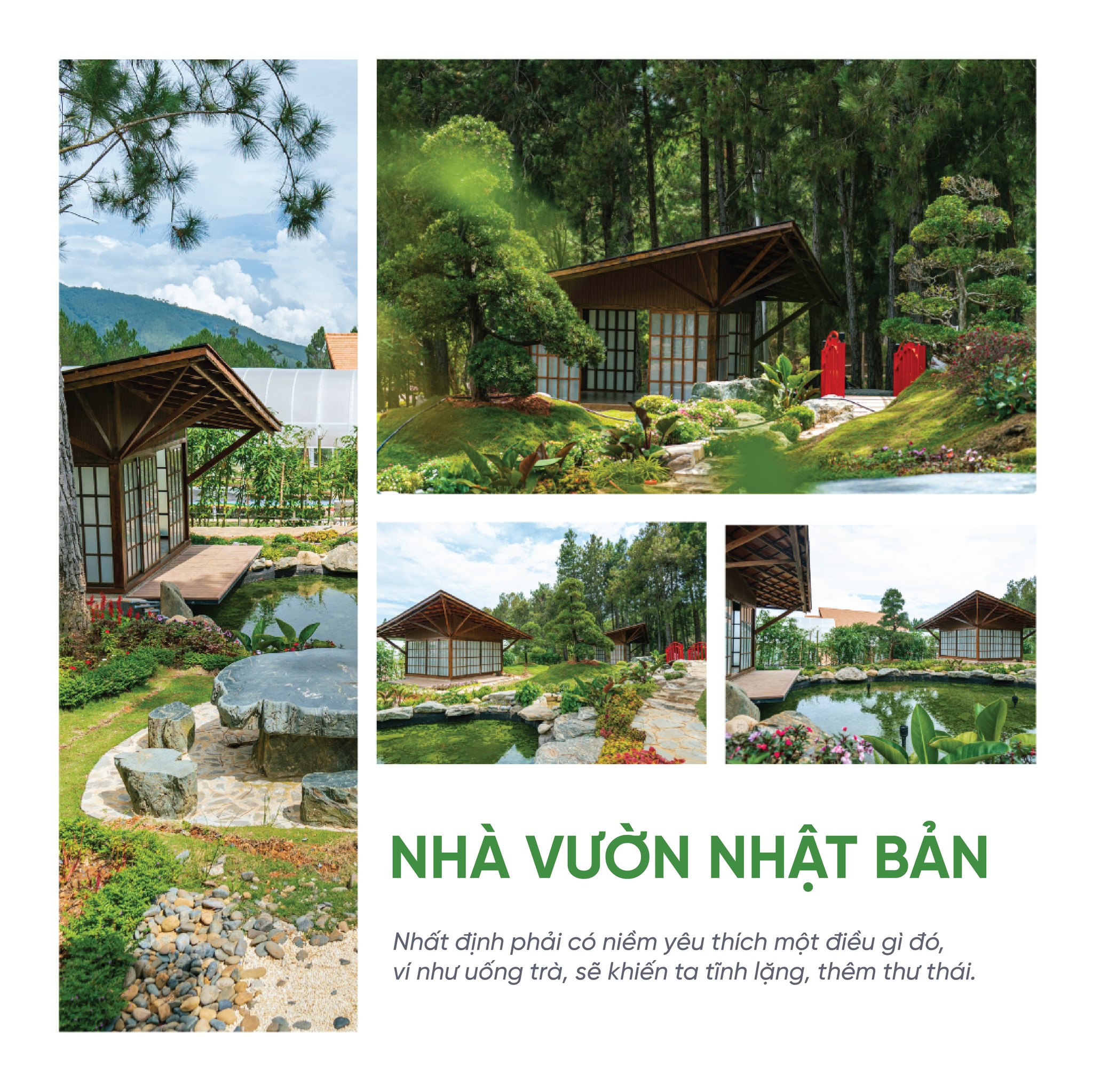 lĩnh vực hoạt động